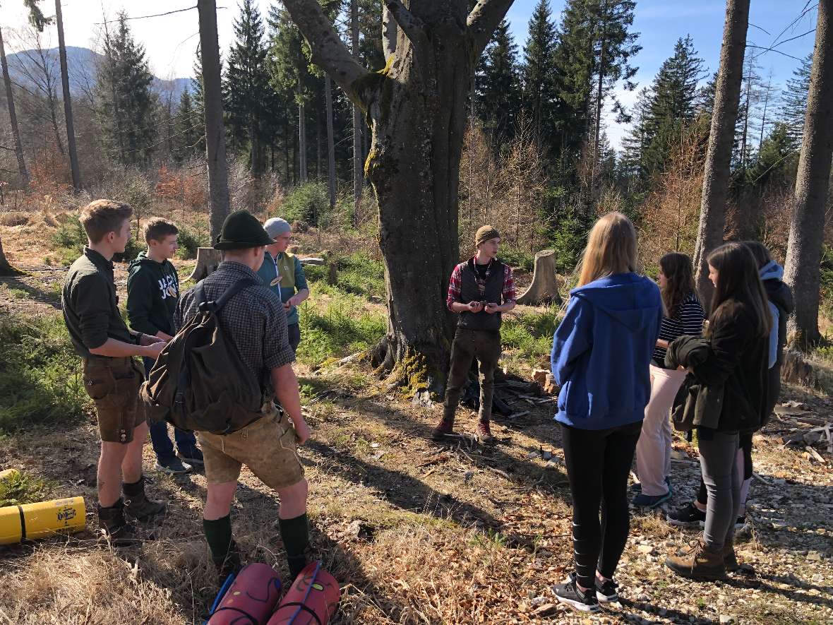 Erklärung für die Teilnehmer