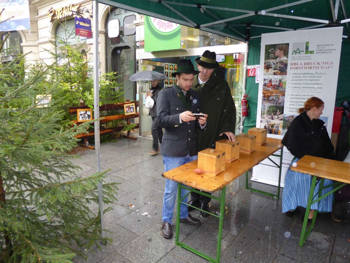 Holz fasziniert jeden Besucher