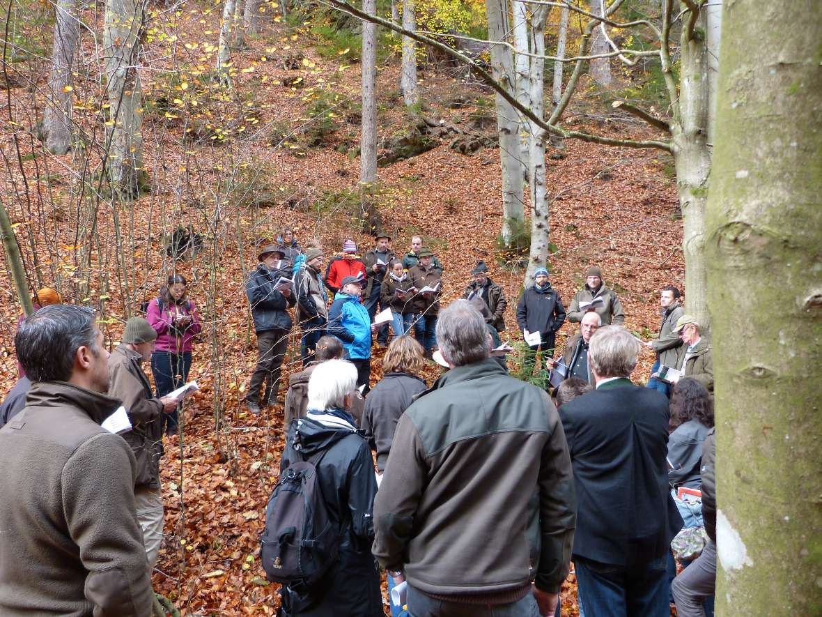 Die Exkursionsgruppe im Wald