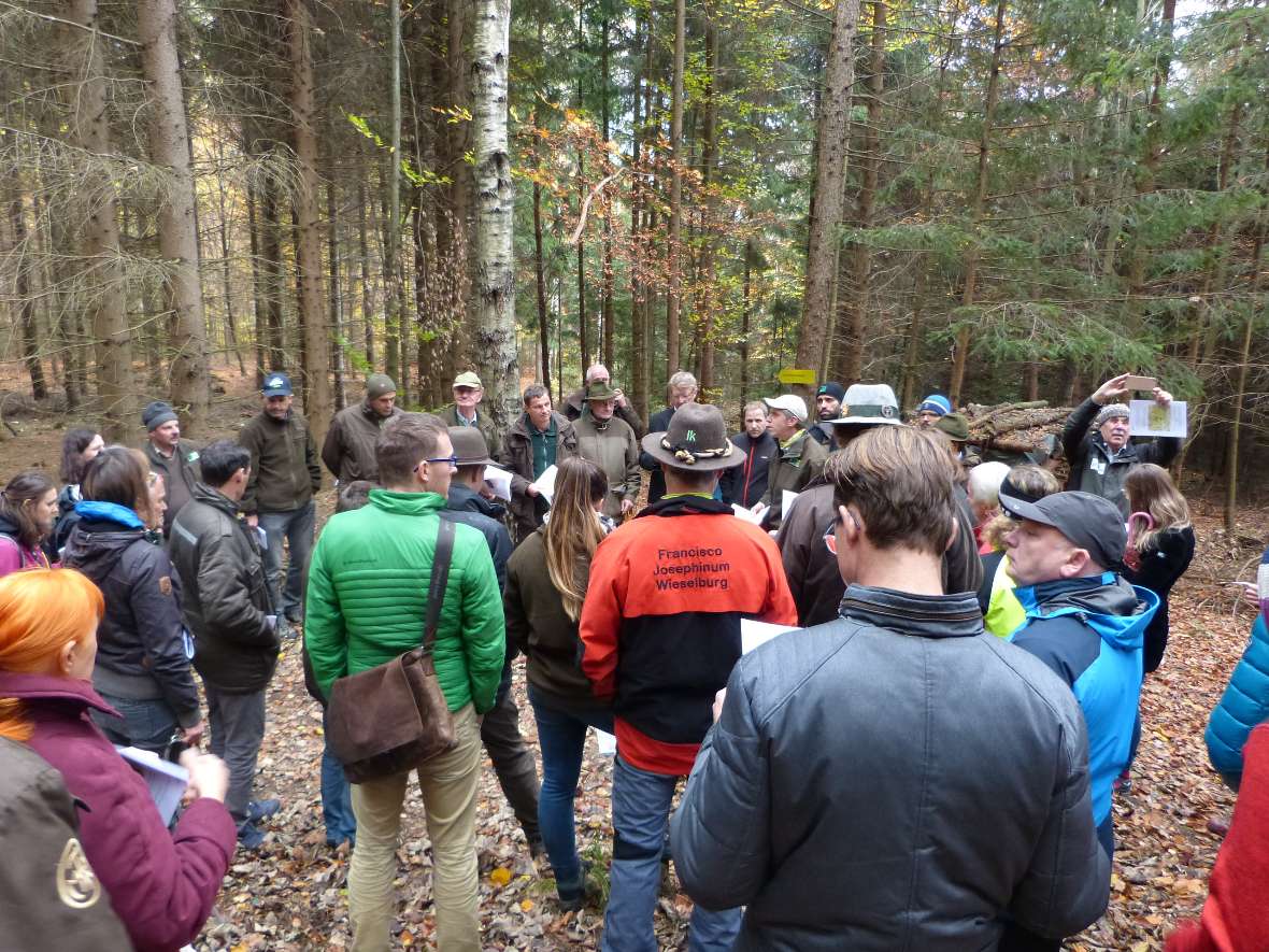 Die ganze Gruppe draußen im Wald