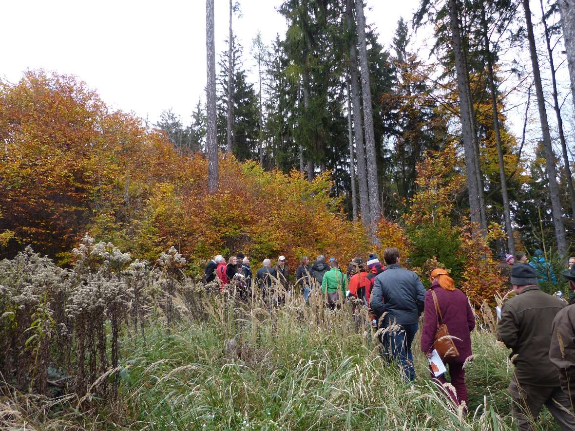 Besuchergruppe im Lehrforst