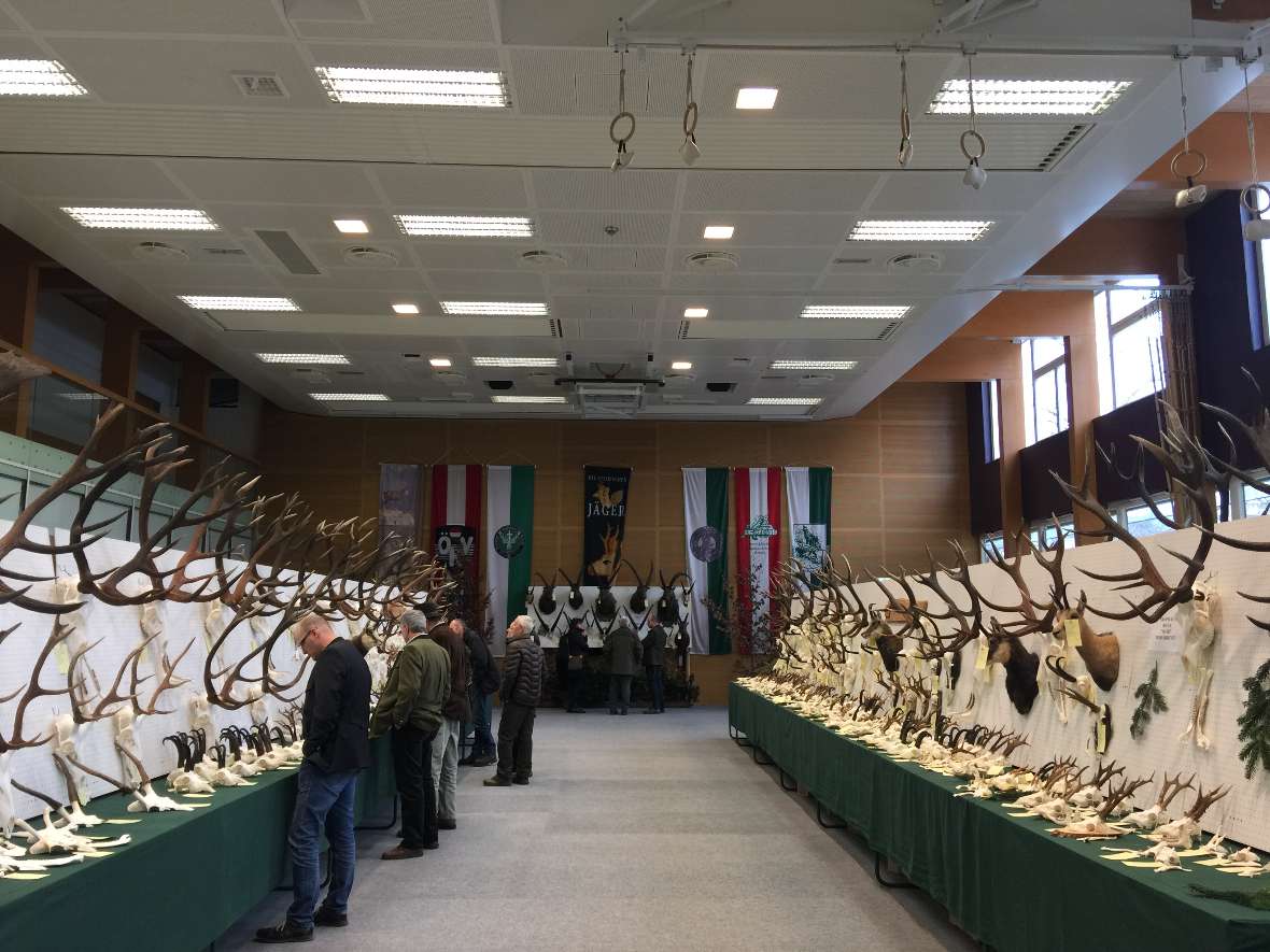 Ein Blick auf die Trophäen im Turnsaal