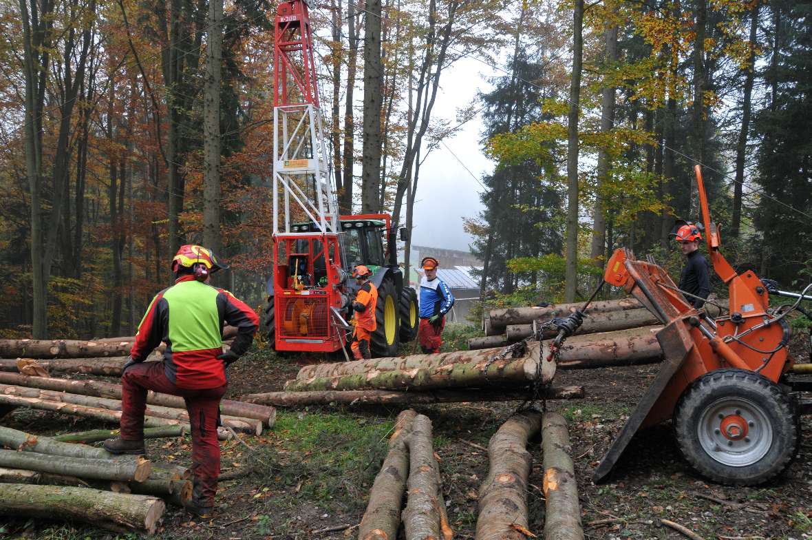 Baumstämme werden am Traktor abtransportiert