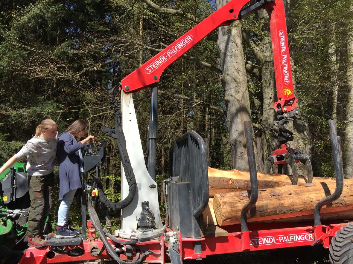 Der Übungsstamm wird auf den Hänger geladen