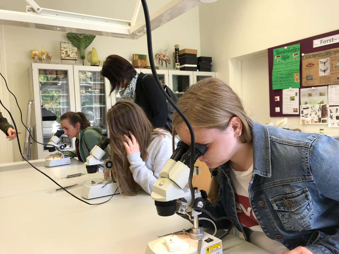 Interessentinnen an den Mikroskopen der Schule