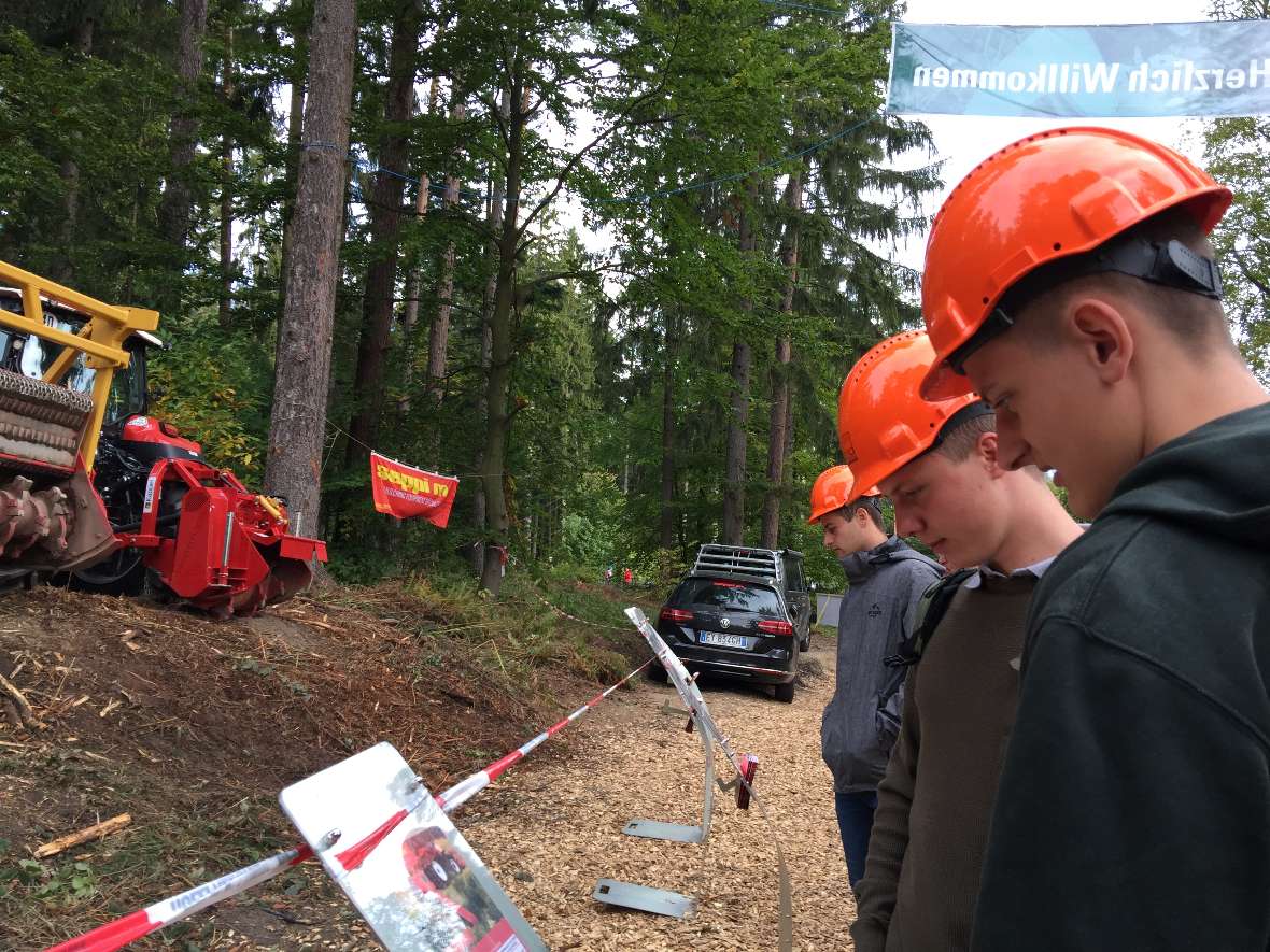 Schüler betrachten die Ausstellung