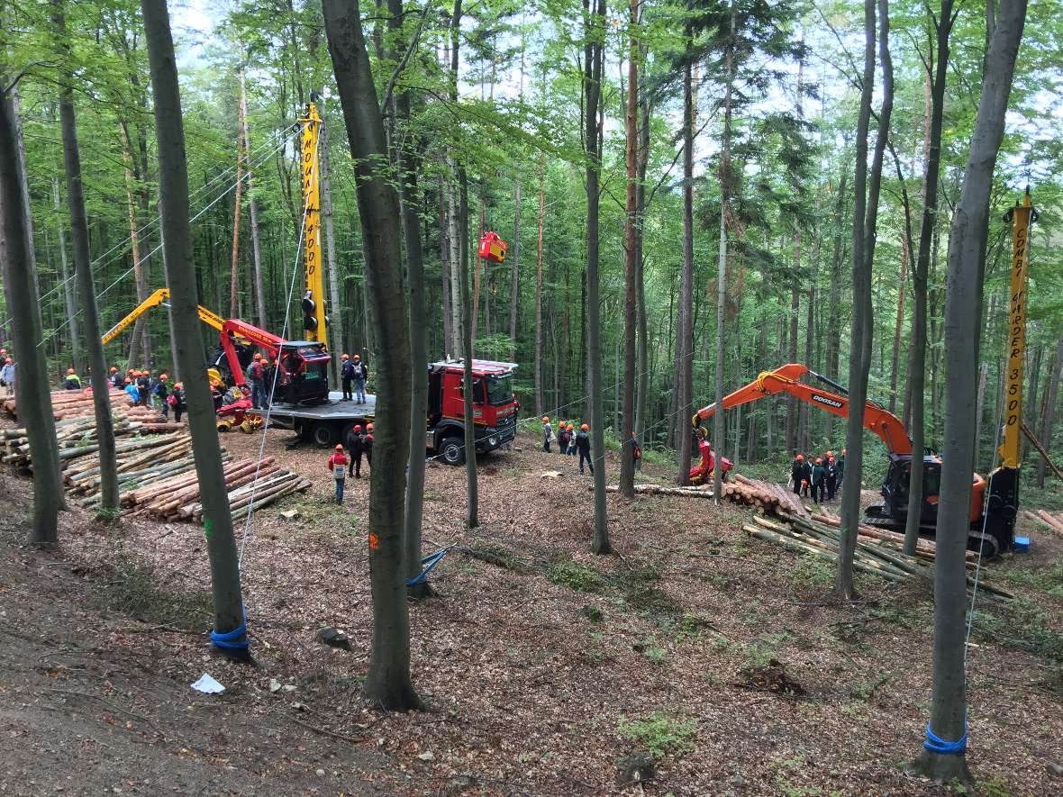 Harvester aus der Distanz im Wald bei der Vorführung