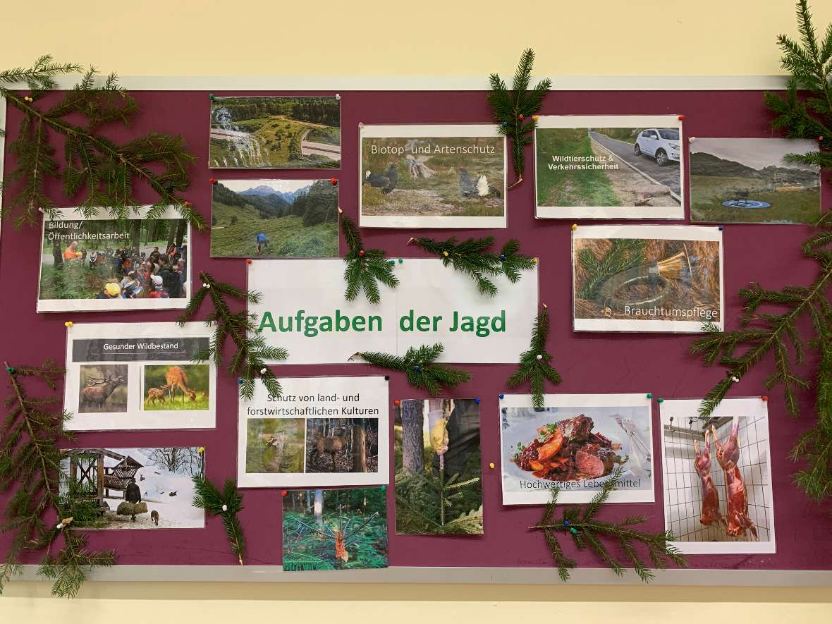 Schautafel zum Thema Aufgaben der Jagd