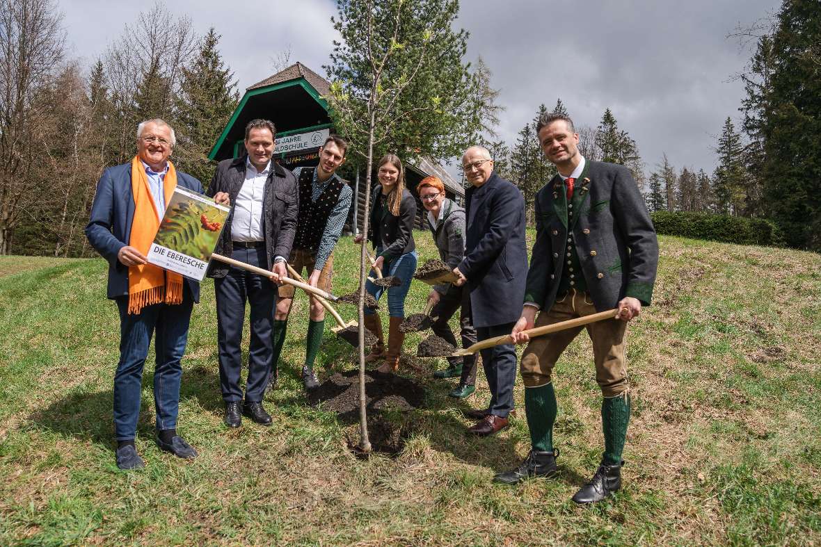 Minister und Beteilgte pflanzen einen Baum