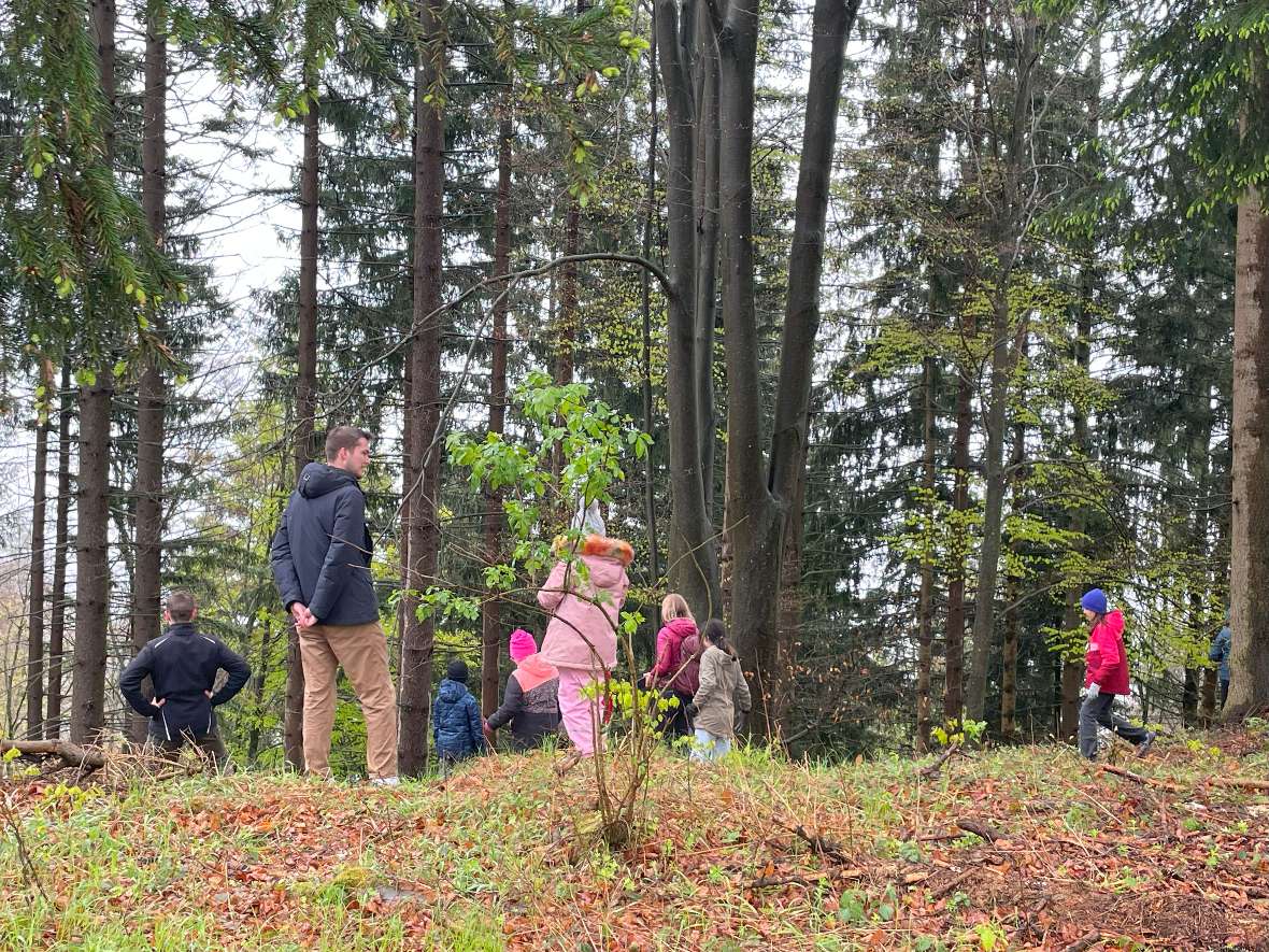 Ein Kind im Wald