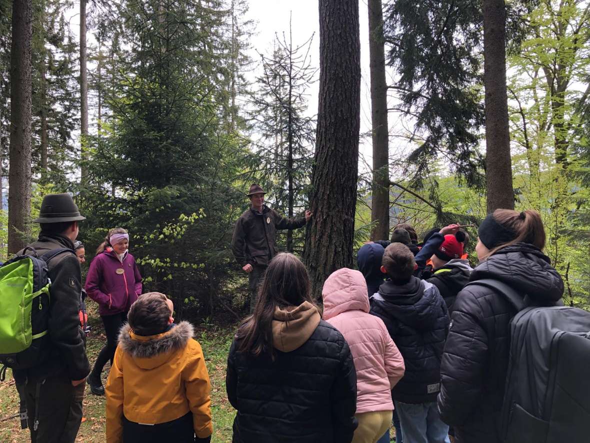 Ein Waldpädagoge erklärt einen Baum