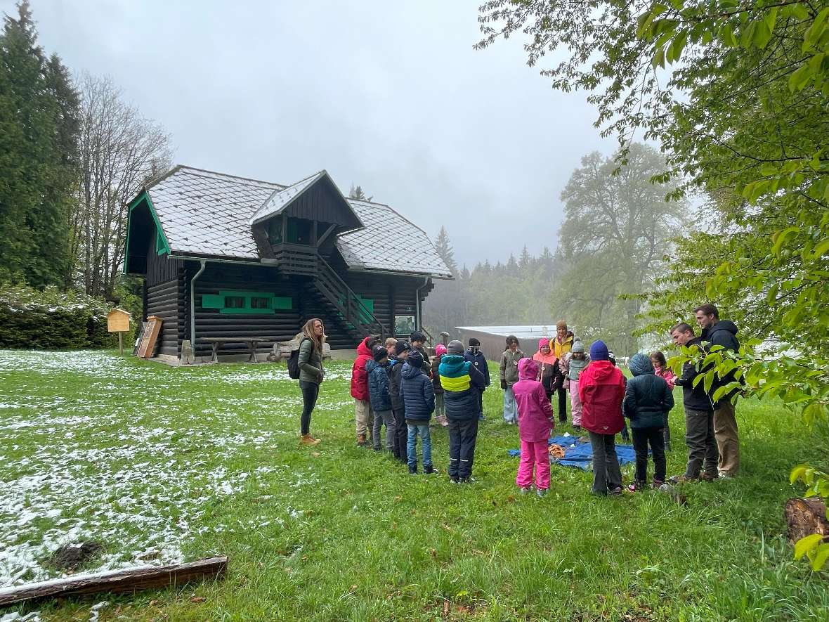 Gruppe bei der Waldschule