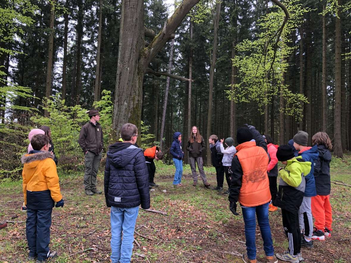 Kinder im Wald