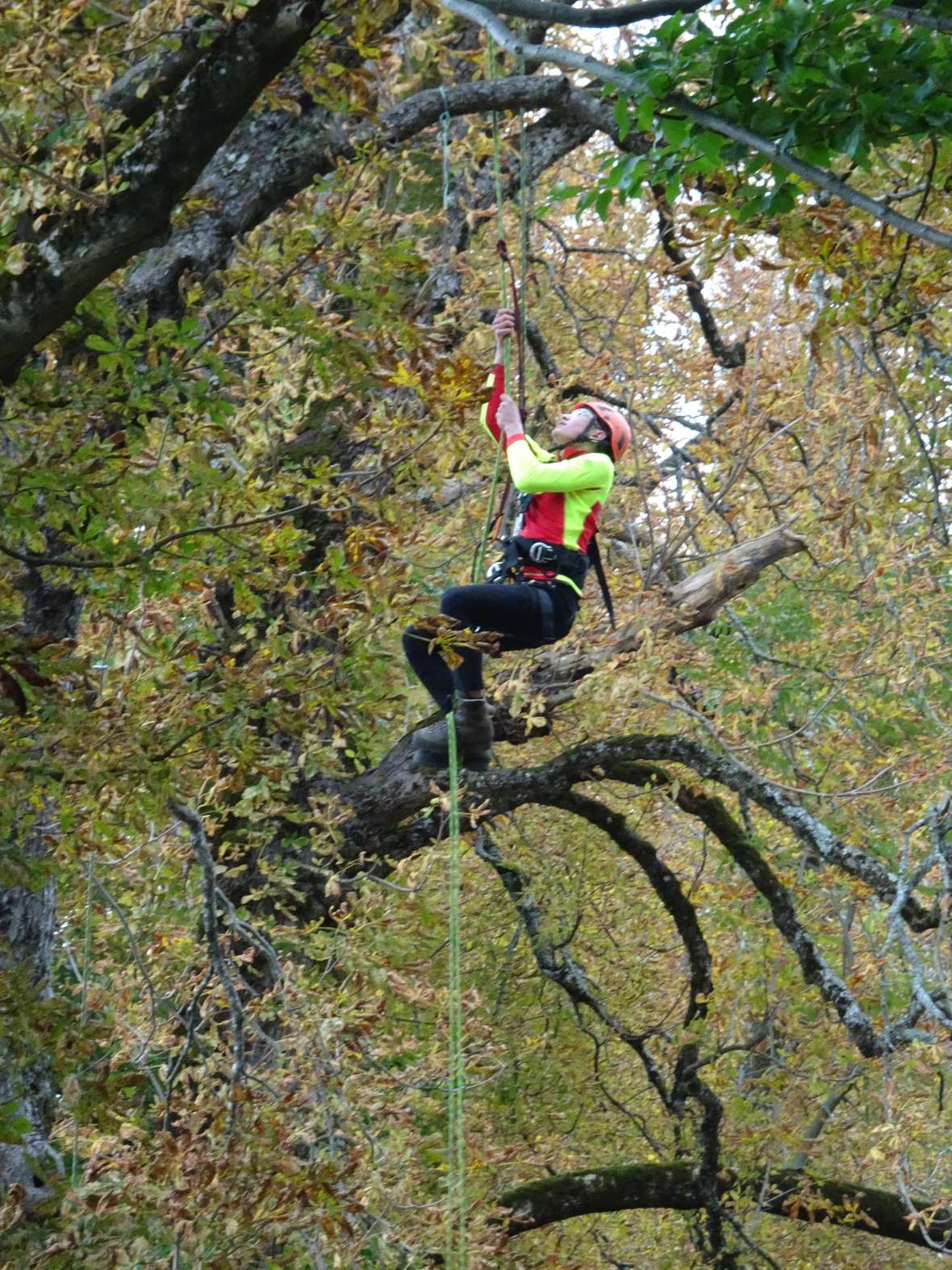 Schüler auf dem Weg zur viertbesten Zeit bei Ascent