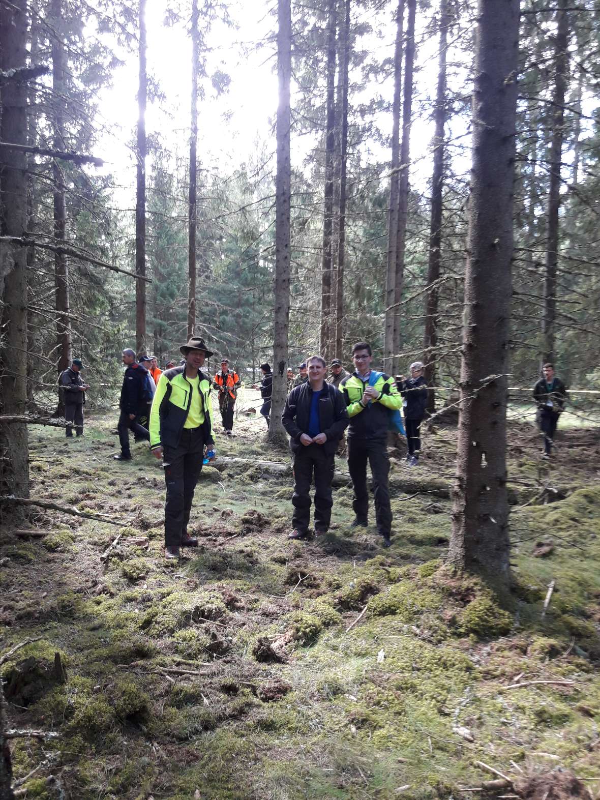 Waldbegehung in Schwedens schönstem Forst