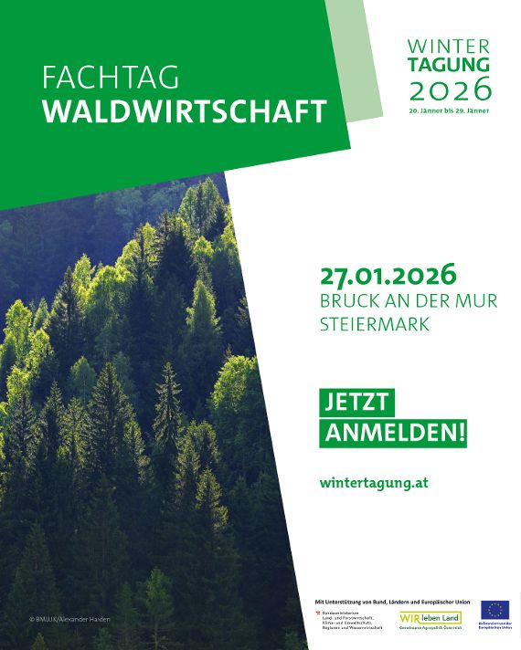 Dies ist ein JPG Dokument.