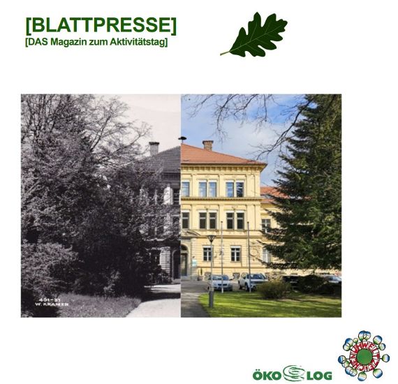 Titelblatt der Blattpresse