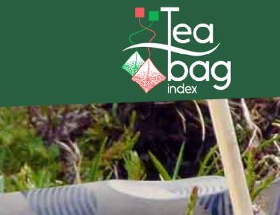 Teatime4Science