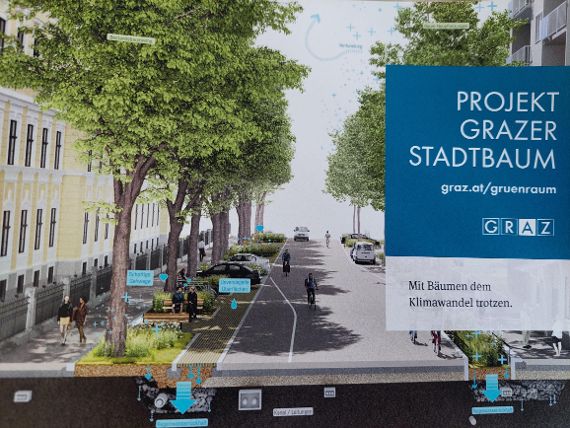 Das Werbeplakat für das Stadtbaumprojekt