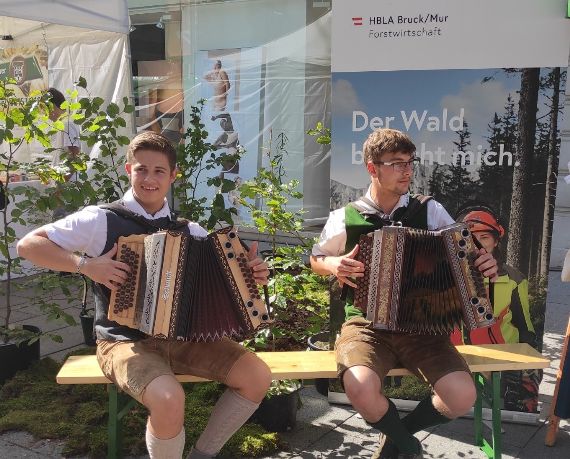 Zwei Schüler spiel mit der Ziehharmonika